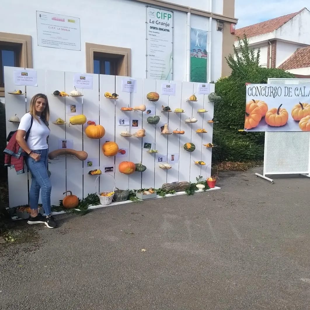 Creatividad con calabazas para Halloween